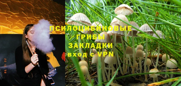 дурь Белокуриха