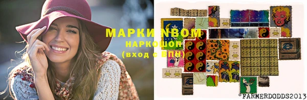 кокс Баксан