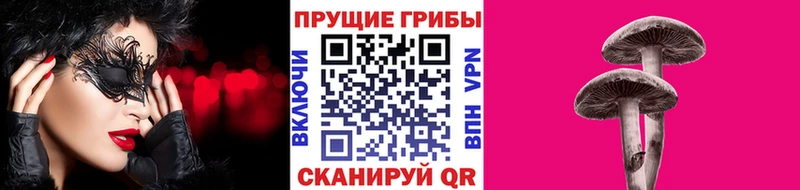 Галлюциногенные грибы Psilocybine cubensis  ОМГ ОМГ зеркало  Козельск 